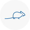 Mice Exterminators In Llanelli